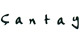 �antay Yay�nlar�