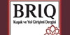 Ku�ak ve Yol Giri�imi Dergisi (BRIQ) Yay�nlar�