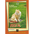 Baba Bana Kedi Ali Bulut Yay�nlar�