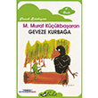 Geveze Kurba�a (�yk�) Bulut Yay�nlar�