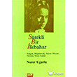 S�rekli Bir �lkbahar Broy Yay�nlar�