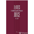 Finnegan�n Vah� 2. Kitap Aylak Adam