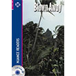 Blown Away N�ans Publishing