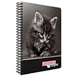 W�ld Notes Spiralli Sert Kapak 100 Yaprak Kareli Defter G�pta