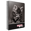 W�ld Notes Spiralli Sert Kapak 100 Yaprak �izgili Defter G�pta(3299)