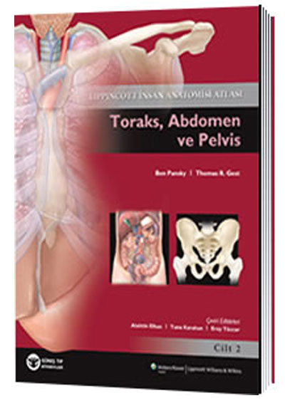 A��klamal� �nsan Anatomisi Atlas� Cilt 2 Toraks, Abdomen ve Pelvis Alaittin Elhan G�ne� T�p