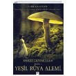 Ye�il R�ya Alemi Furkan G�ler Tilki Kitap
