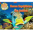 Mercan Kayal�klar�na Ho�geldiniz Teleskop Pop�ler Bilim