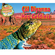 ��l Diyar�na Ho� Geldiniz Teleskop Pop�ler Bilim