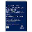 G�ne� T�p The Netter Collection of Medical Illustrations Kas-�skelet Sistemi G�ne� T�p Kitabevi