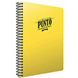 Punto Spiralli Plastik Kapak Defter A5 80 Yaprak �izgili (3386) G�pta