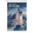 Beyaz Di� Puslu Yay�nlar�