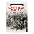 Kaybolan Bacak Dorlion Yay�nevi