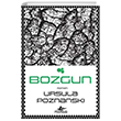 Bozgun Pegasus Yay�nlar�