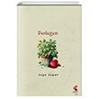 Fesle�en Klaros Yay�nlar�