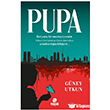 Pupa Hayat Yay�nlar�