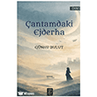 �antamdaki Ejderha Temmuz Yay�nlar�